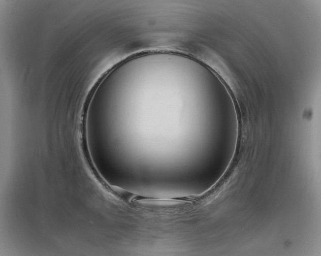 X0000097501093200802221439