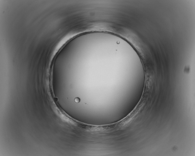 X0000097501094200802221439