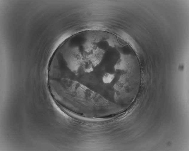 X0000097501095200802221439