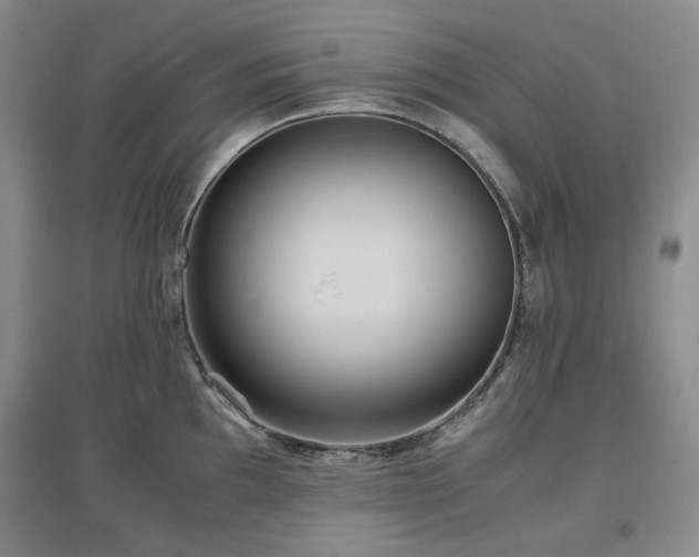 X0000097501097200802221439