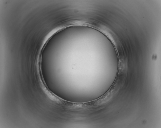 X0000097501098200802221439