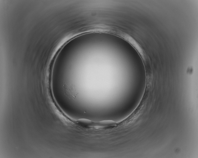 X0000097501099200802221439