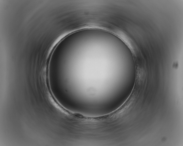 X0000097501100200802221439