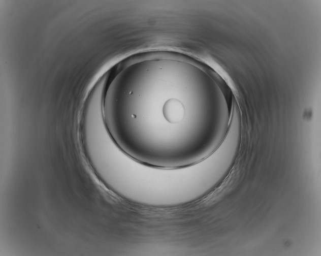 X0000097501101200802221439