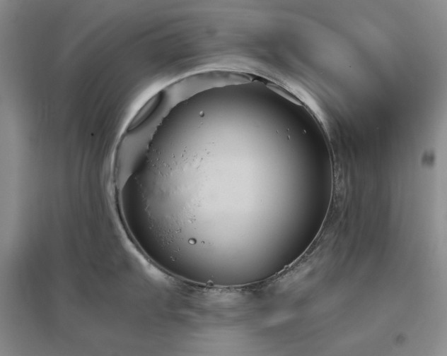 X0000097501103200802221439
