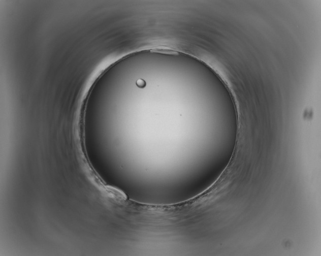 X0000097501104200802221439