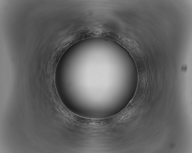 X0000097501105200802221438