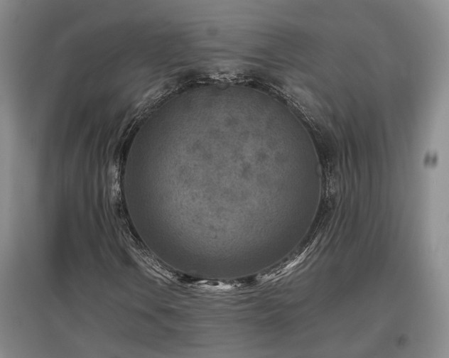 X0000097501106200802221438