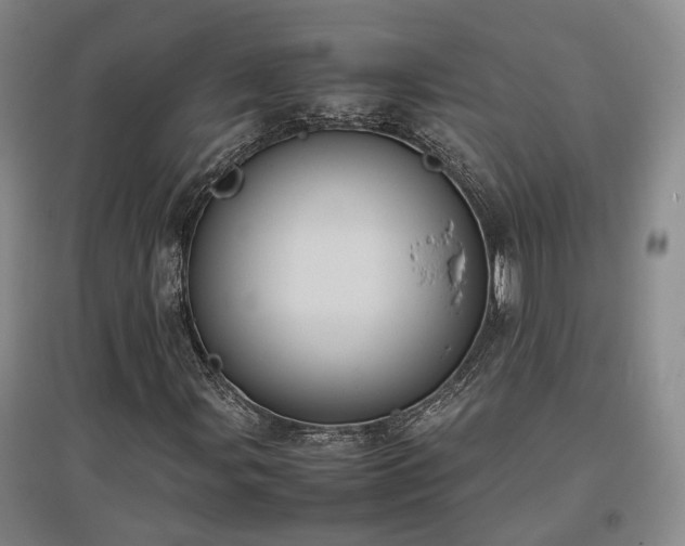 X0000097501107200802221438