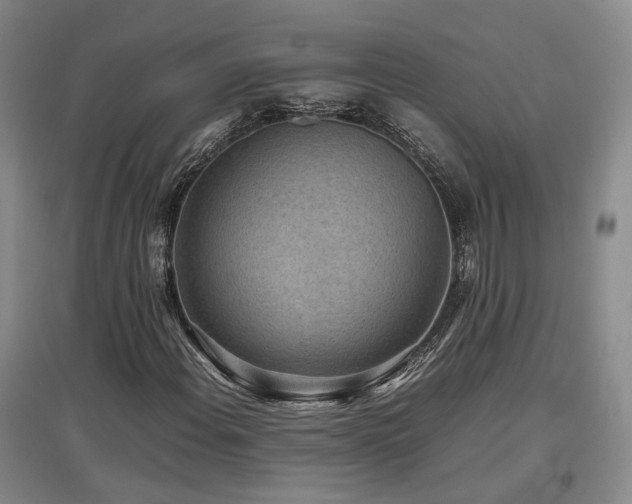 X0000097501108200802221438