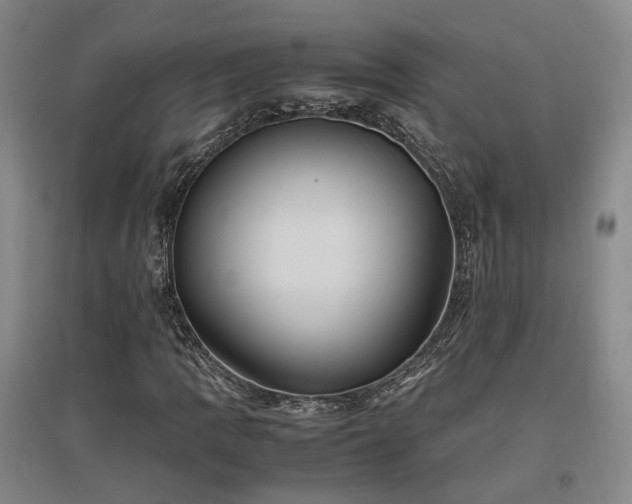 X0000097501109200802221438