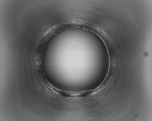 X0000097501110200802221438