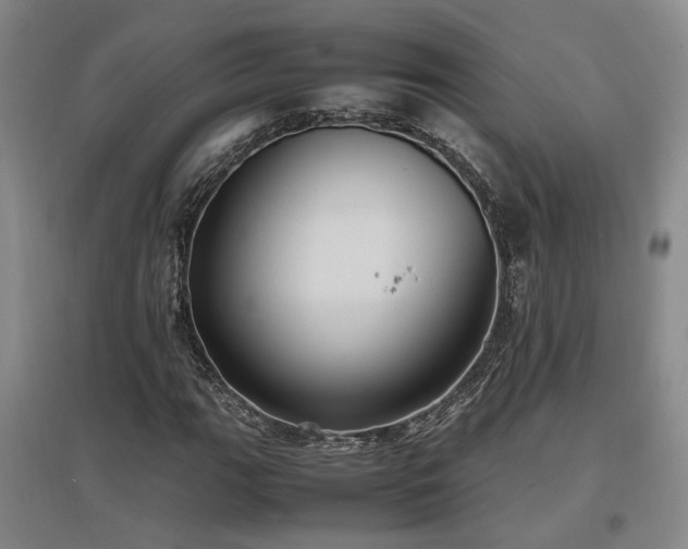 X0000097501111200802221438