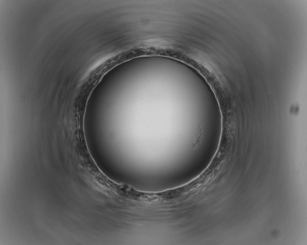 X0000097501112200802221438
