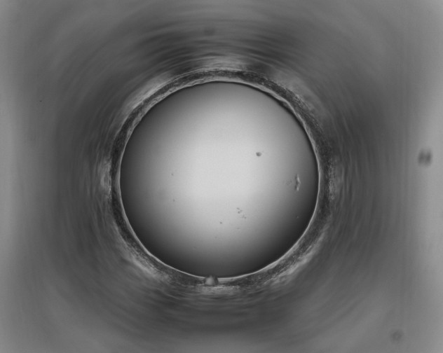 X0000097501113200802221438