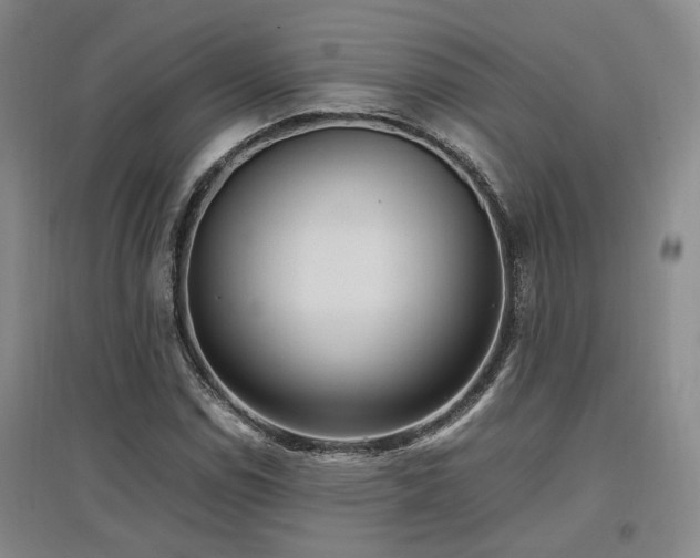 X0000097501114200802221438