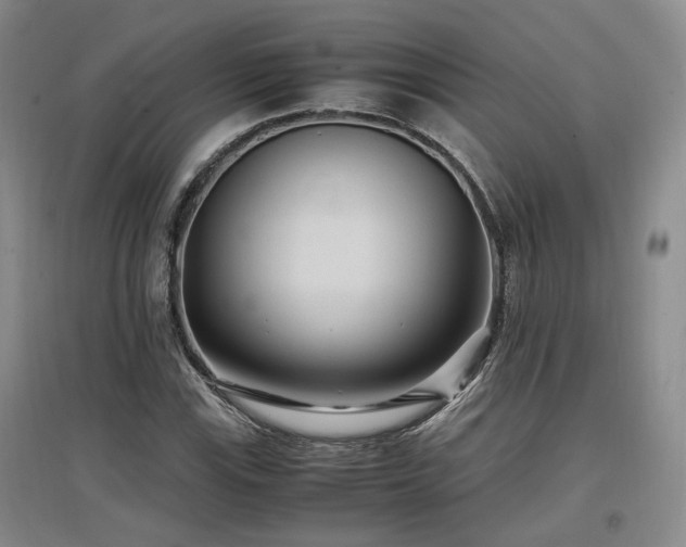 X0000097501115200802221438