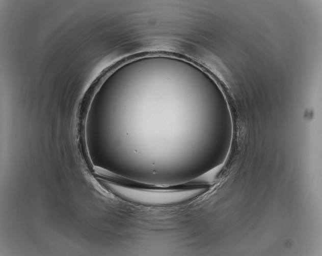 X0000097501116200802221438