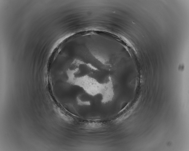 X0000097501117200802221438