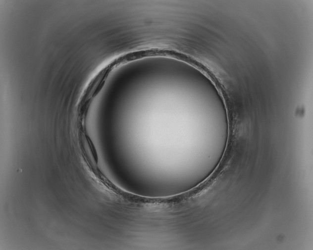 X0000097501118200802221438