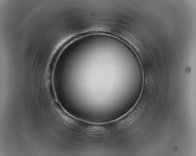X0000097501119200802221438