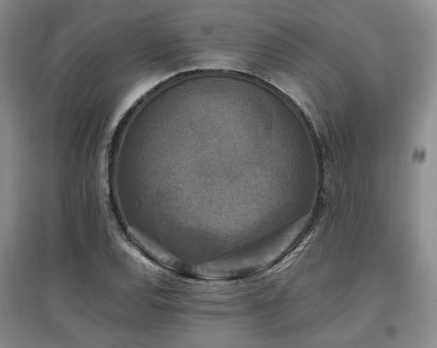 X0000097501120200802221438
