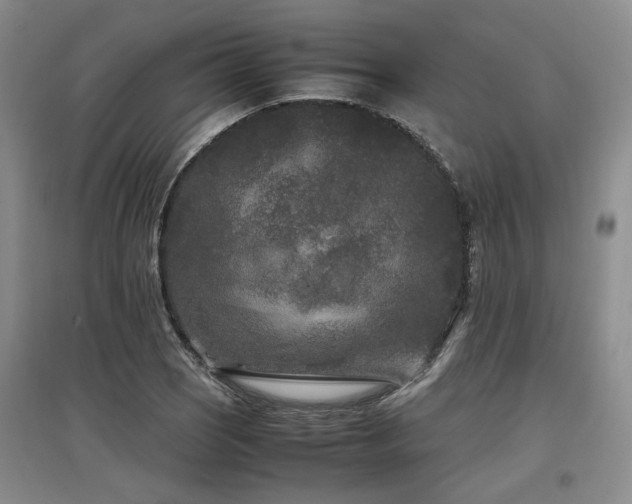 X0000097501121200802221438