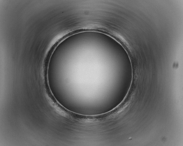 X0000097501122200802221438