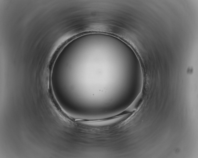 X0000097501123200802221438