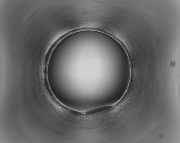 X0000097501124200802221438