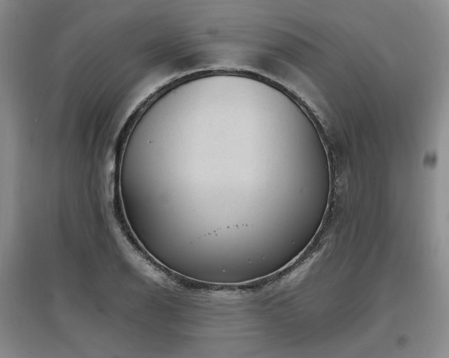 X0000097501126200802221438