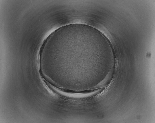 X0000097501127200802221438