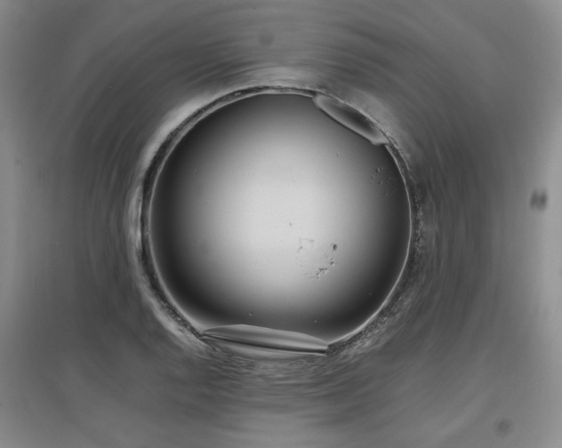 X0000097501128200802221438