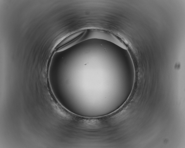 X0000097501129200802221438