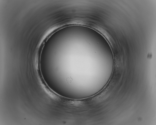 X0000097501131200802221438