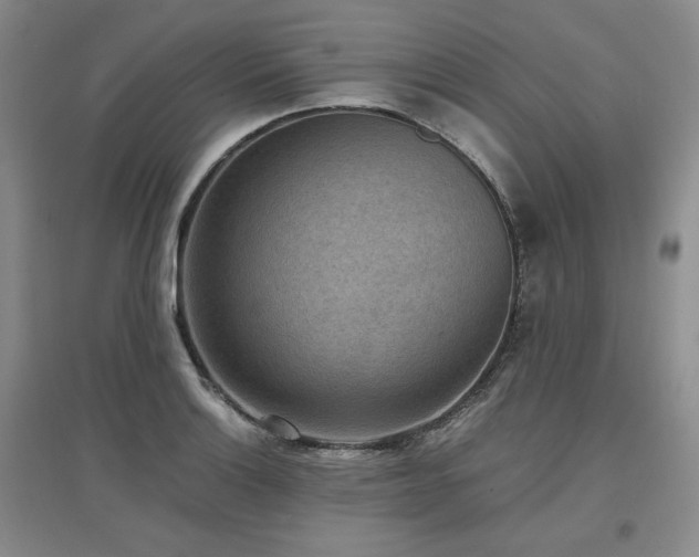 X0000097501132200802221438