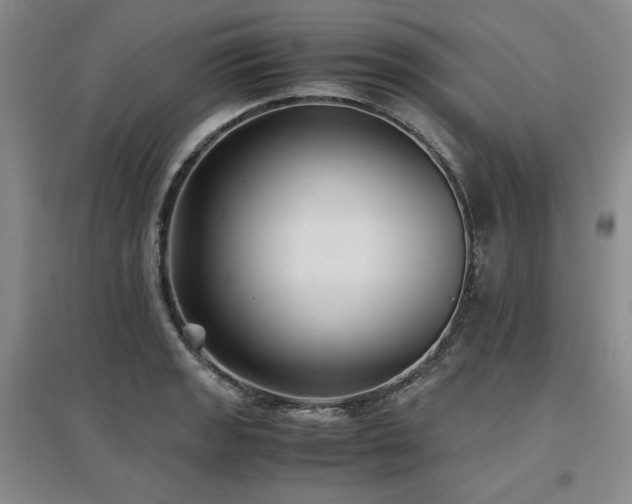 X0000097501133200802221438