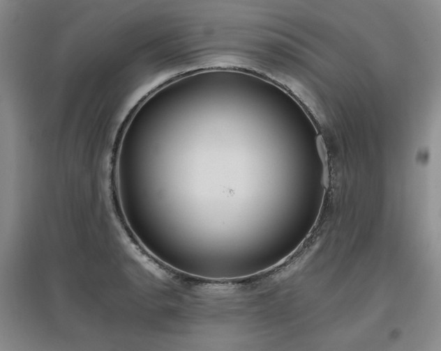 X0000097501134200802221438