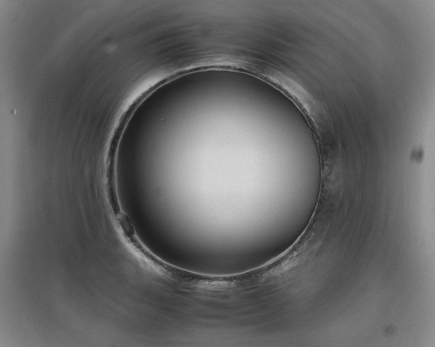 X0000097501135200802221438