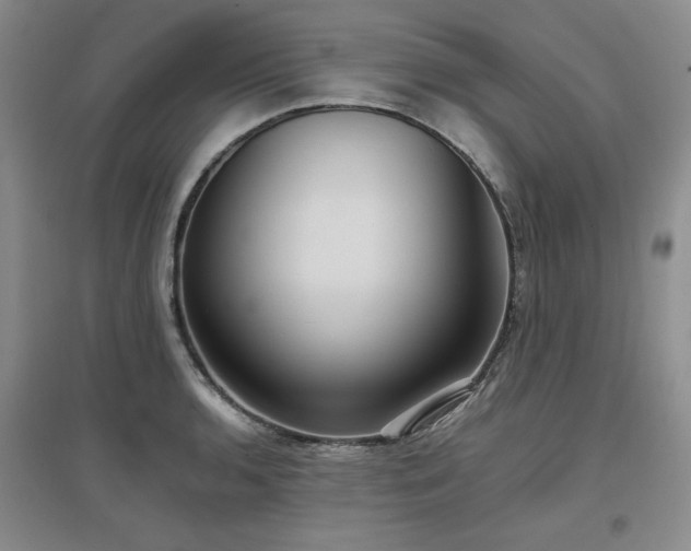 X0000097501136200802221438