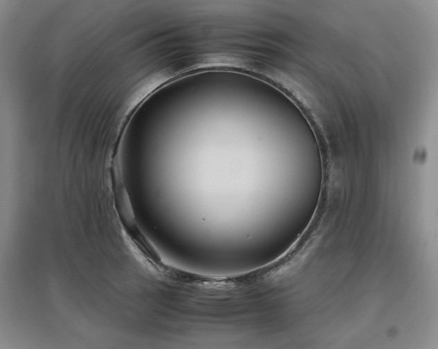 X0000097501137200802221438