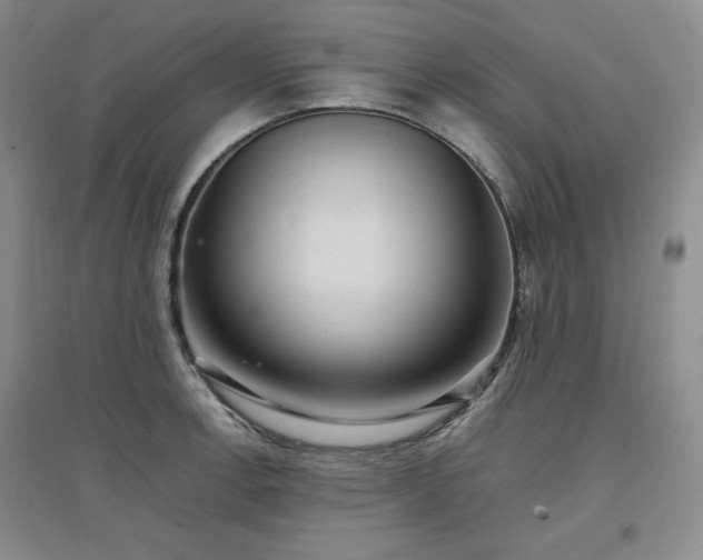 X0000097501138200802221438