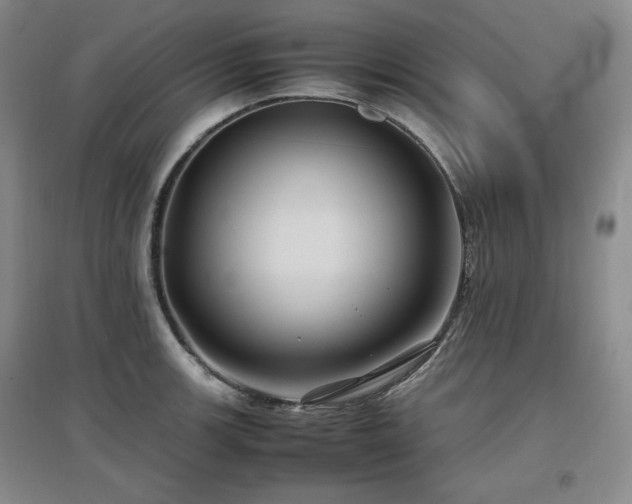 X0000097501139200802221438