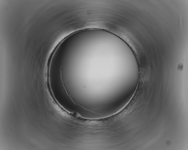 X0000097501140200802221438