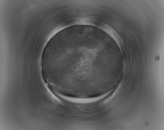 X0000097501141200802221438
