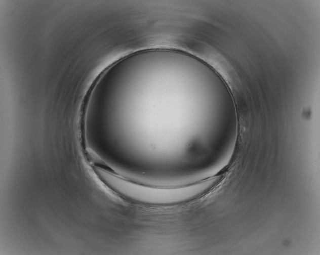 X0000097501142200802221438