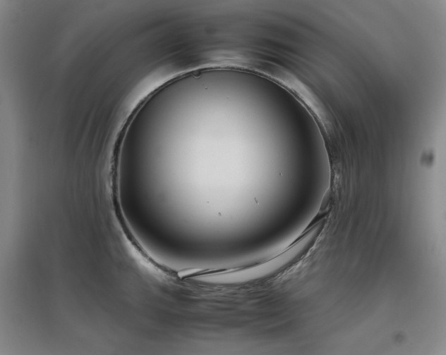 X0000097501143200802221438