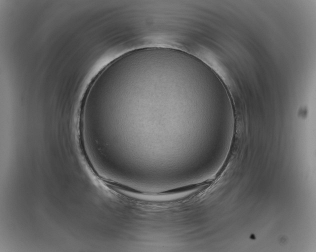 X0000097501144200802221438