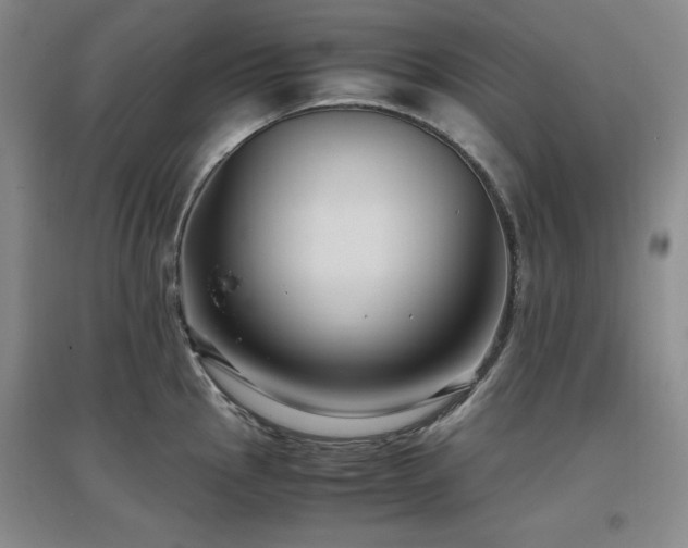 X0000097501145200802221438