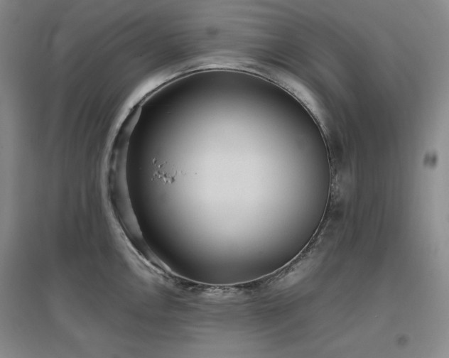 X0000097501146200802221438